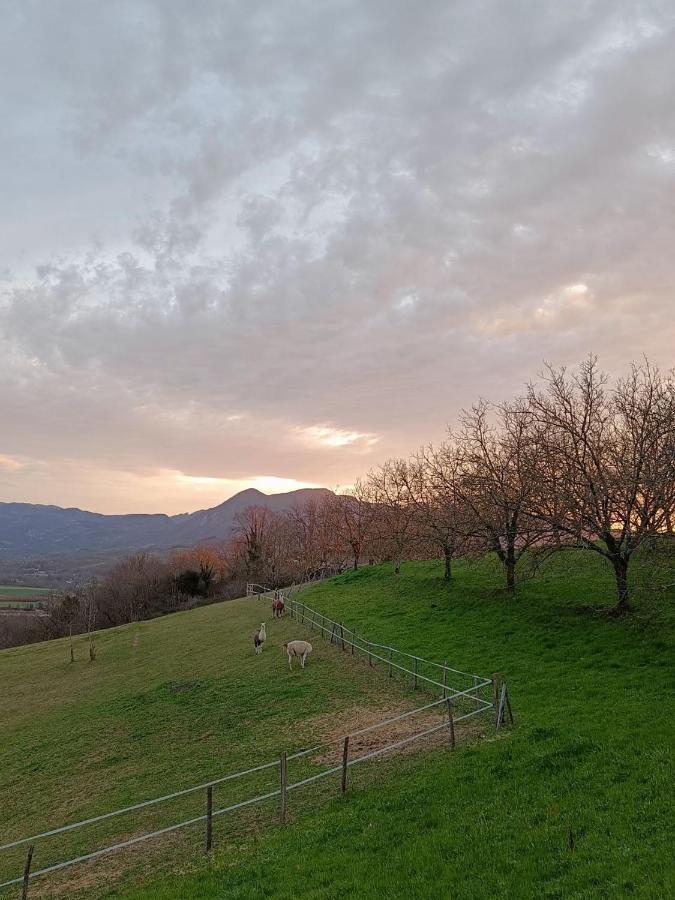 Le Perchoir Du Vercors - Panorama Sur Les Cimes Saint-André-en-Royans Exterior photo